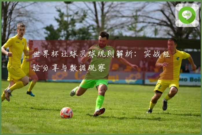 世界杯让球买球规则解析：实战经验分享与数据观察