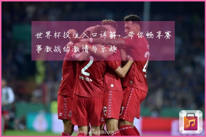 世界杯投注入口详解，带你畅享赛事激战的激情与乐趣