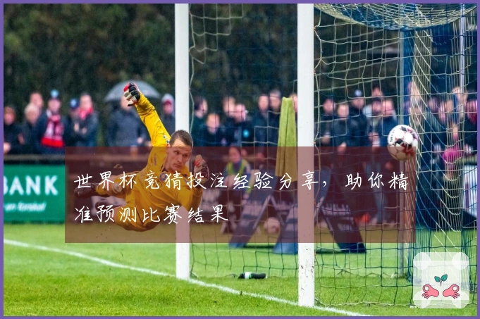 世界杯竞猜投注经验分享，助你精准预测比赛结果