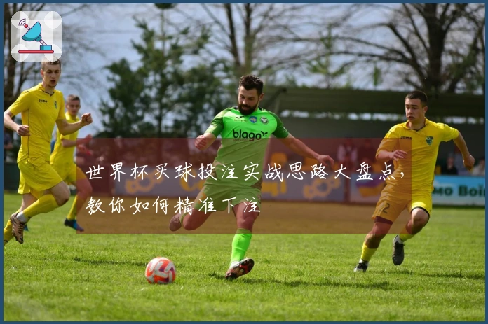 世界杯买球投注实战思路大盘点，教你如何精准下注