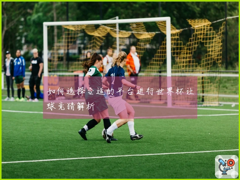 如何选择合适的平台进行世界杯让球竞猜解析