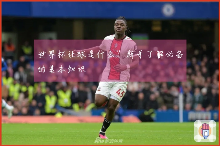 世界杯让球是什么？新手了解必备的基本知识
