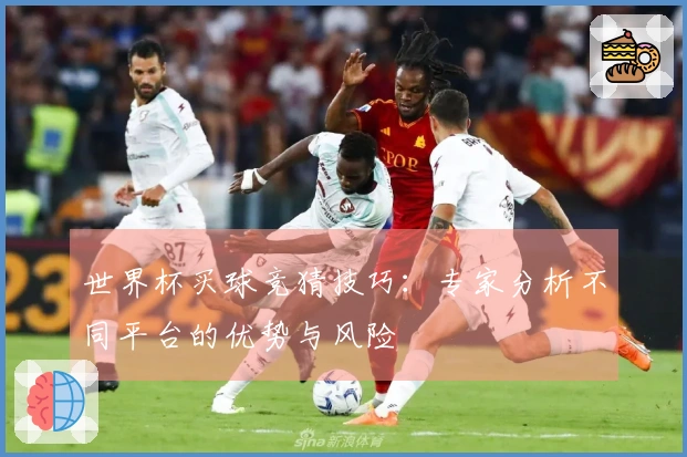 世界杯买球竞猜技巧：专家分析不同平台的优势与风险