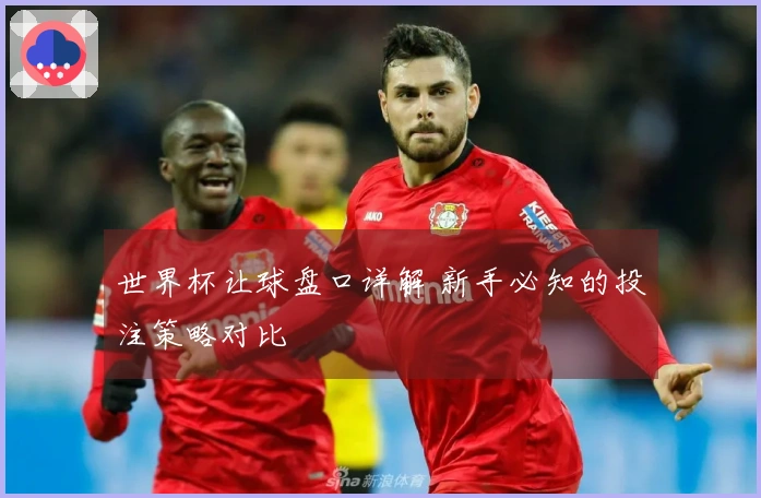 世界杯让球盘口详解 新手必知的投注策略对比