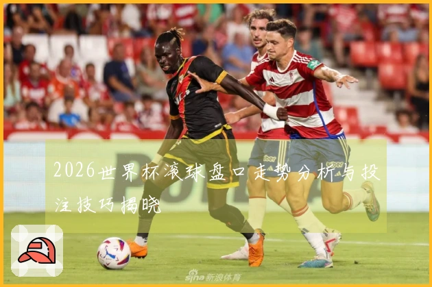 2026世界杯滚球盘口走势分析与投注技巧揭晓