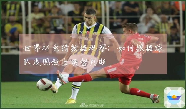 世界杯竞猜数据观察：如何根据球队表现做出明智判断