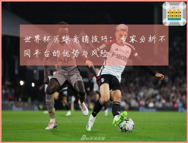 世界杯买球竞猜技巧：专家分析不同平台的优势与风险