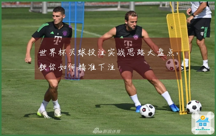 世界杯买球投注实战思路大盘点，教你如何精准下注