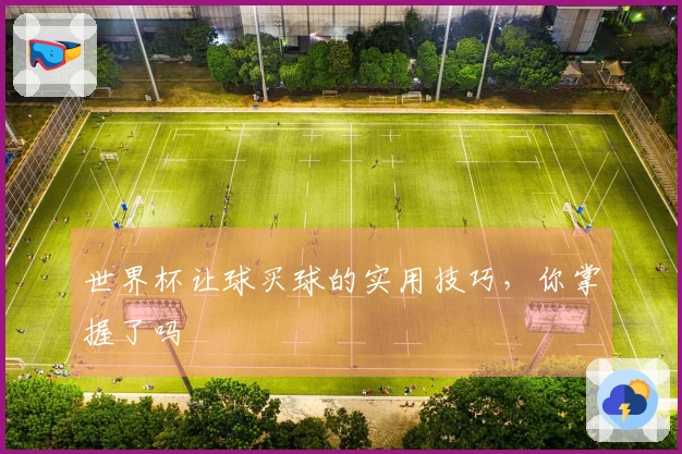 世界杯让球买球的实用技巧，你掌握了吗